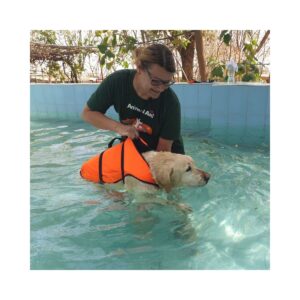 Anita Grabowski helping a dog in water during animal rescue work in India